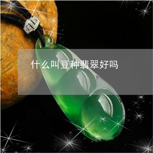 什么叫豆种翡翠好吗/2023093085825