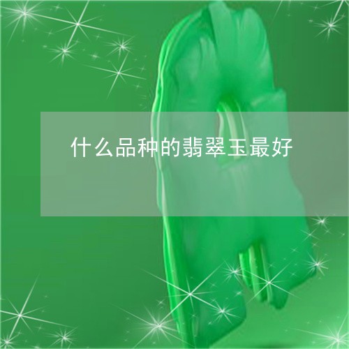 什么品种的翡翠玉最好/2023082437482