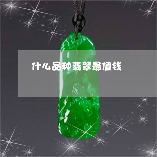 什么品种翡翠最值钱/2023033107358