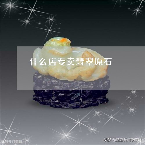 什么店专卖翡翠原石/2023033191936