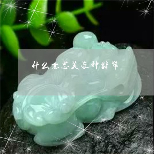 什么意思芙蓉种翡翠/2023033142714