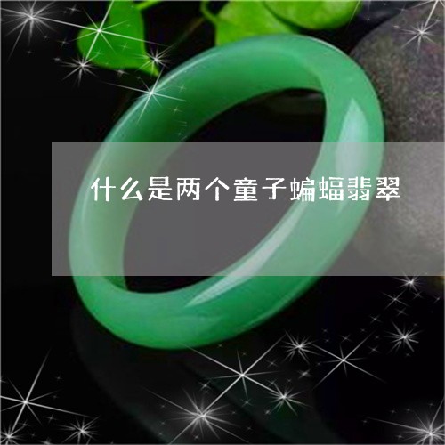 什么是两个童子蝙蝠翡翠/2023070794057