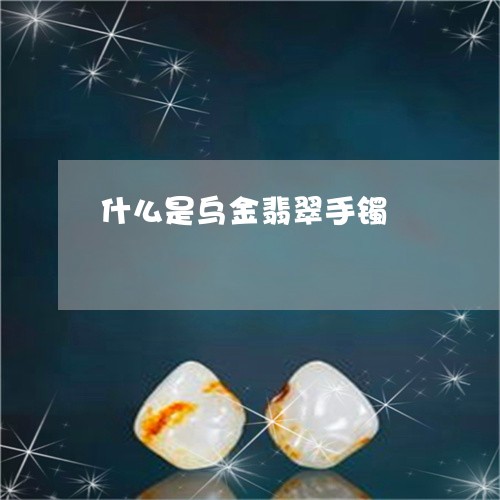 什么是乌金翡翠手镯/2023033192715