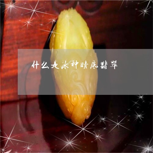 什么是冰种睛底翡翠/2023033173482