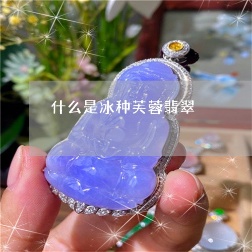 什么是冰种芙蓉翡翠/2023033181582