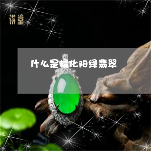 什么是糯化阳绿翡翠/2023033193835