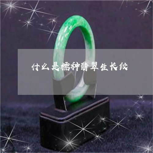 什么是糯种翡翠生长纹/2023040916350