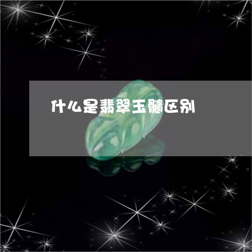 什么是翡翠玉髓区别/2023033129160