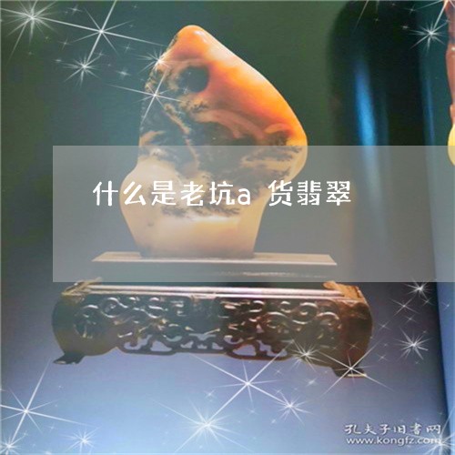 什么是老坑a货翡翠/2023111633552