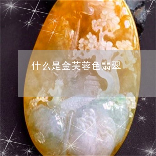 什么是金芙蓉色翡翠/2023033120492