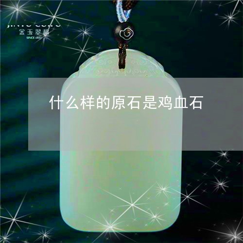 什么样的原石是鸡血石/2023040913925