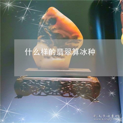 什么样的翡翠算冰种/2023033113916