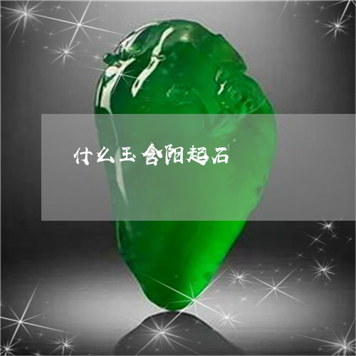 什么玉含阳起石/2023042510493