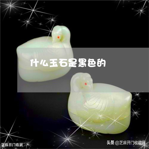 什么玉石是黑色的/2023112505817