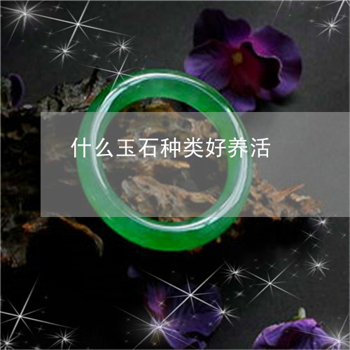 什么玉石种类好养活/2023033113817