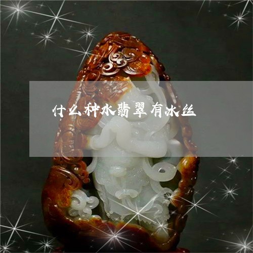 什么种水翡翠有冰丝/2023093011615