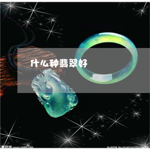 什么种翡翠好/2023073105047