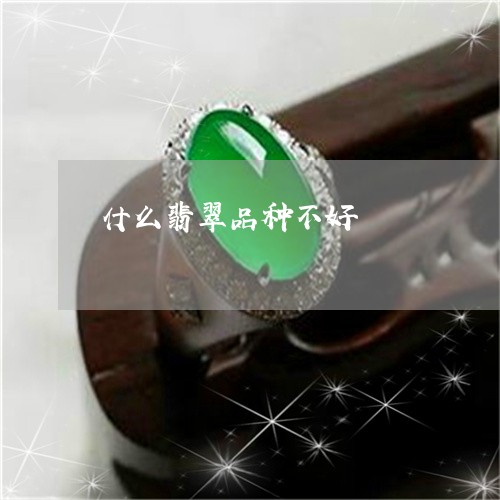 什么翡翠品种不好/2023100605938