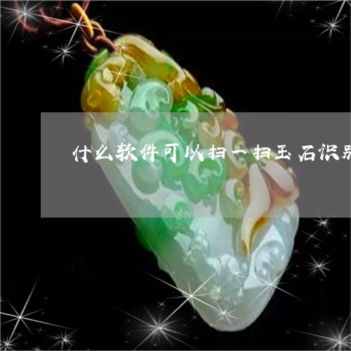 什么软件可以扫一扫玉石识别/2023112330591