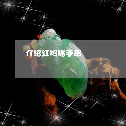 介绍红玛瑙手串/2023062694794