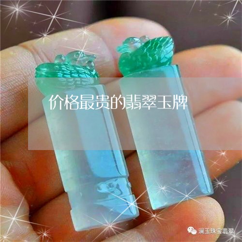 价格最贵的翡翠玉牌/2023122077070