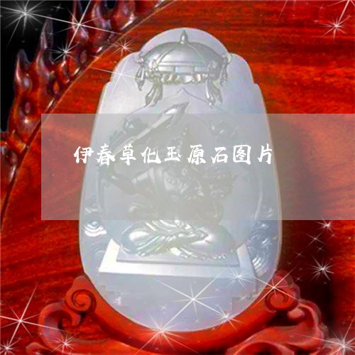 伊春草化玉原石图片/2023033161676