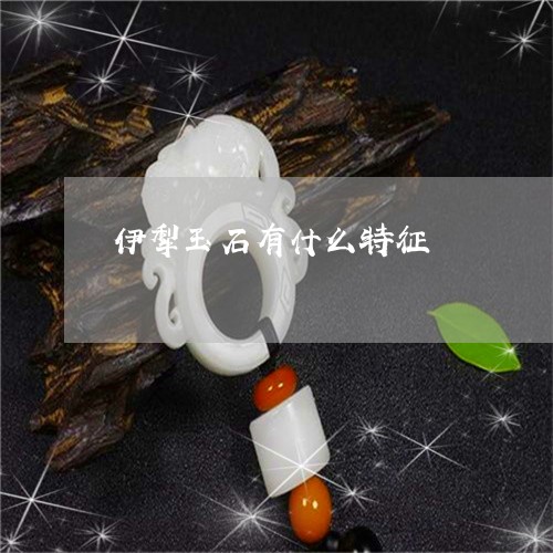 伊犁玉石有什么特征/2023033190603