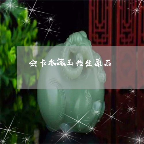 会卡水沫玉共生原石/2023033019478