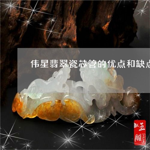 伟星翡翠瓷芯管的优点和缺点/2023112373946