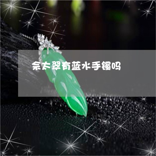 佘太翠有蓝水手镯吗/2023033002916