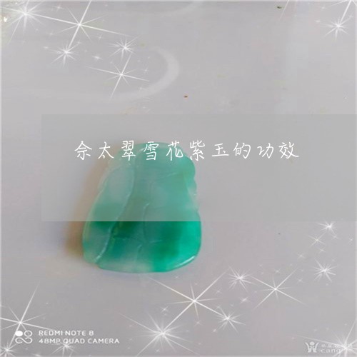 佘太翠雪花紫玉的功效/2023082562795