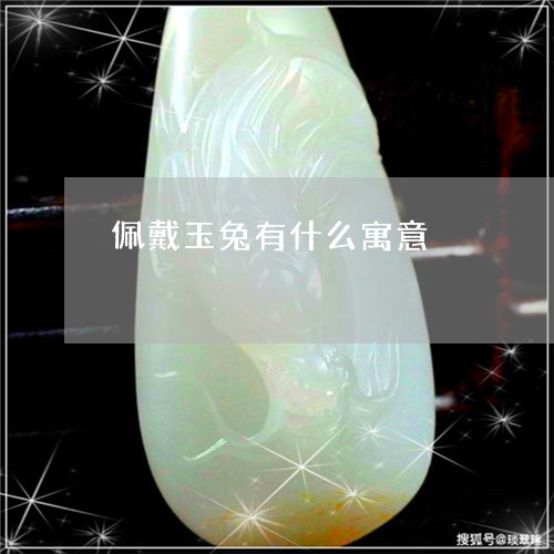 佩戴玉兔有什么寓意/2023033090582