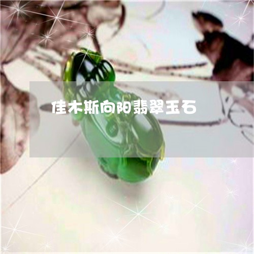 佳木斯向阳翡翠玉石/2023093046260