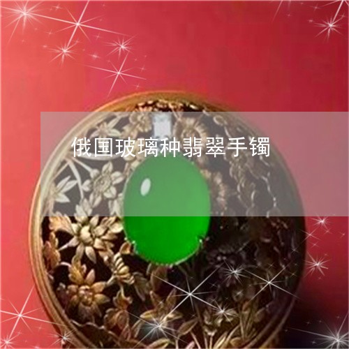 俄国玻璃种翡翠手镯/2023033023937