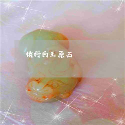 俄料白玉原石/2023073141403