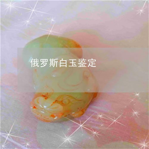 俄罗斯白玉鉴定/2023042550381