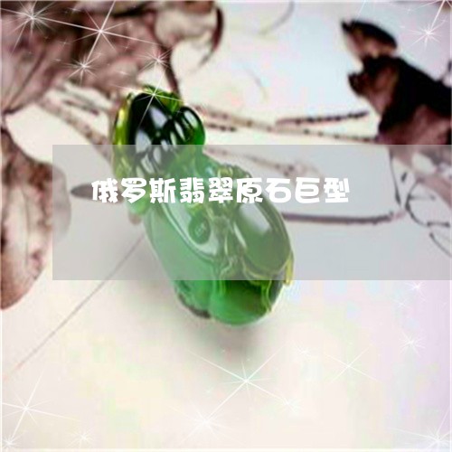 俄罗斯翡翠原石巨型/2023033072602