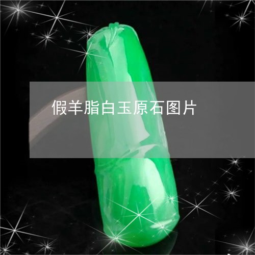 假羊脂白玉原石图片/2023121961594