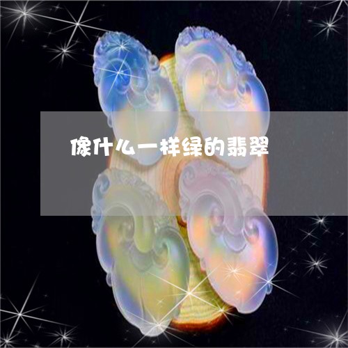 像什么一样绿的翡翠/2023033004049