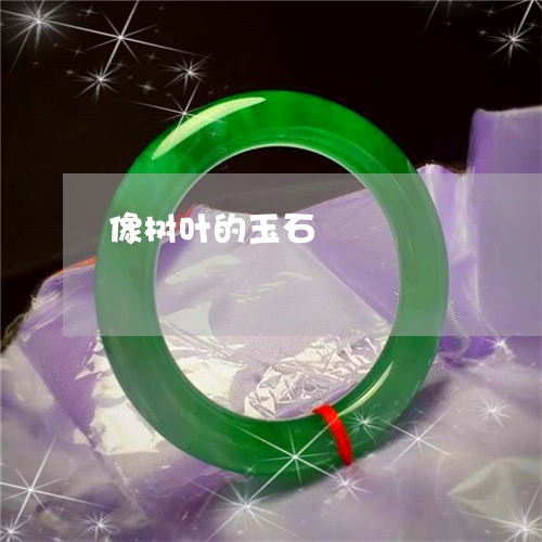 像树叶的玉石/2023073114827