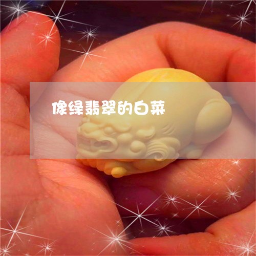 像绿翡翠的白菜/2023062659594