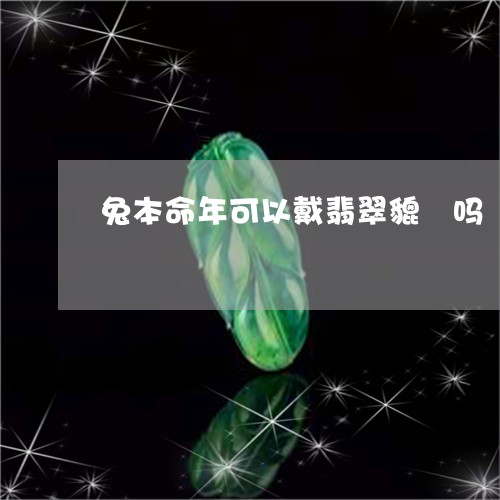 兔本命年可以戴翡翠貔恘吗/2023061055279