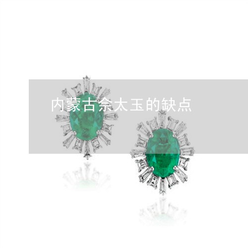 内蒙古佘太玉的缺点/2023033093525