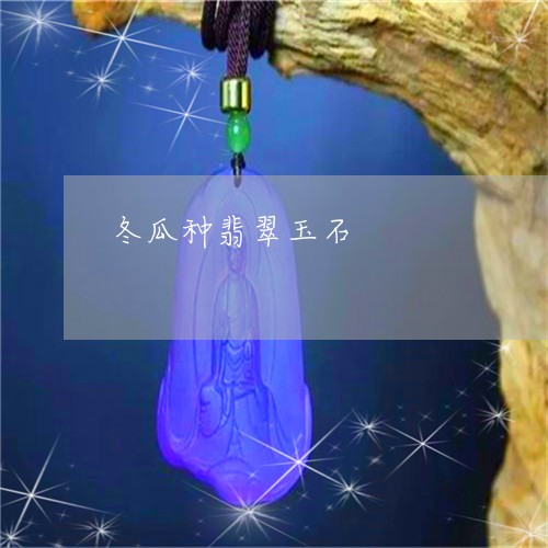 冬瓜种翡翠玉石/2023062526052