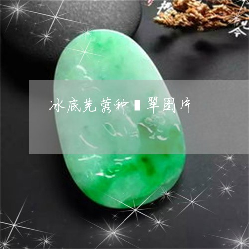 冰底芙蓉种翡翠图片/2023032942814