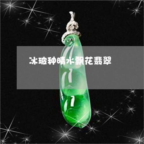 冰玻种晴水飘花翡翠/2023033093503