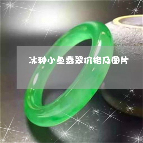 冰种小鱼翡翠价格及图片/2023052746269