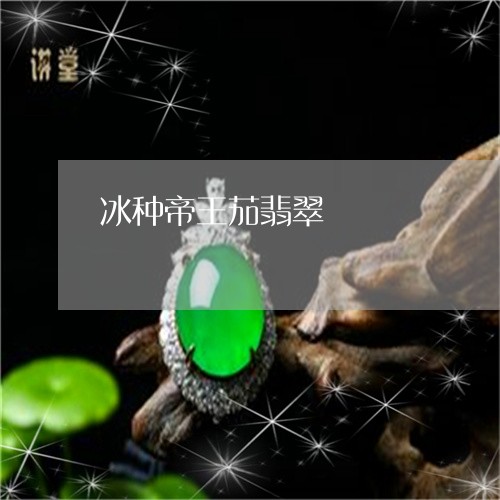 冰种帝王茄翡翠/2023062587158