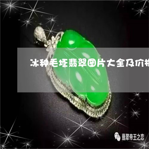 冰种毛坯翡翠图片大全及价格/2023120362715