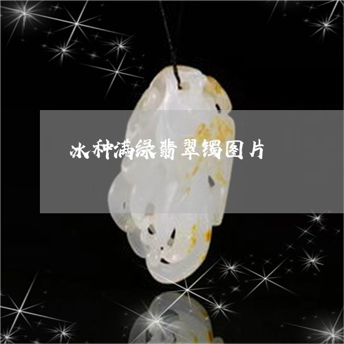 冰种满绿翡翠镯图片/2023033006161